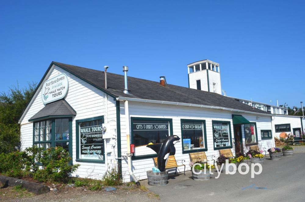 Port Townsend whale watching tours.