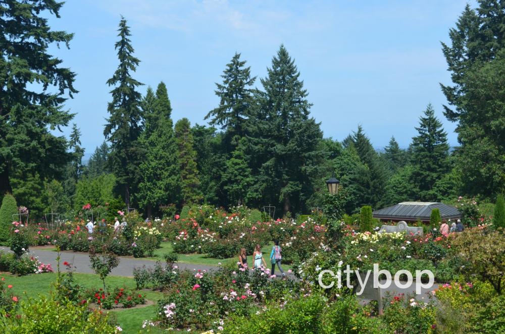 are dogs allowed at portland rose garden