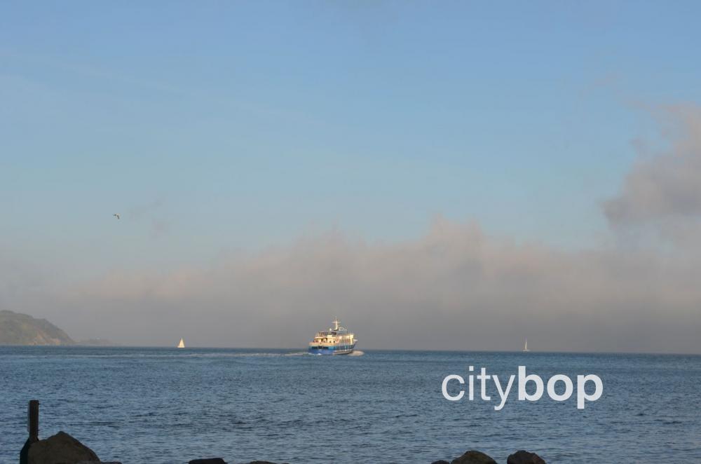 Sausalito Ferry