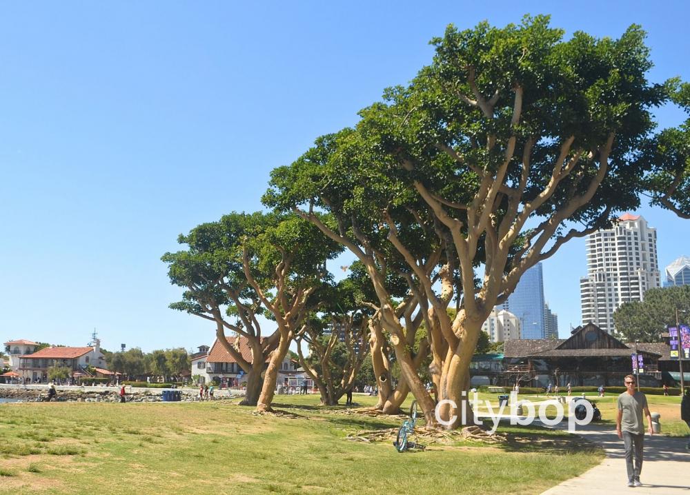 Embarcadero Marina Park North