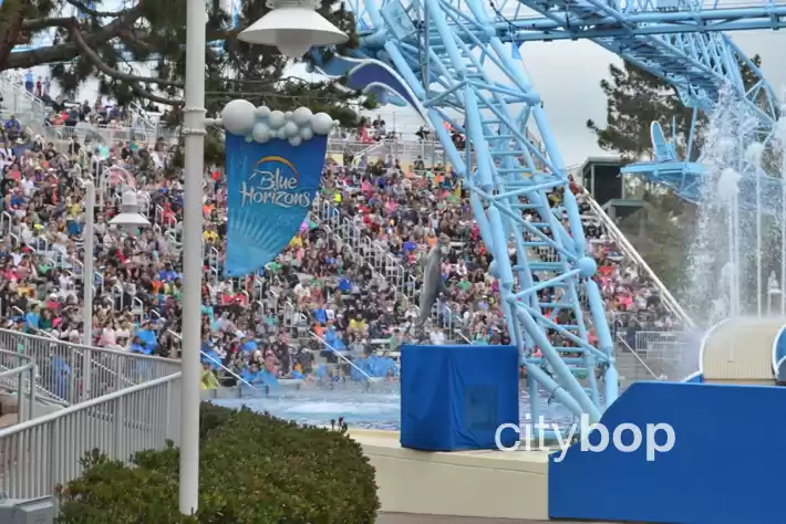 10 BEST Attractions at Seaworld San Diego
