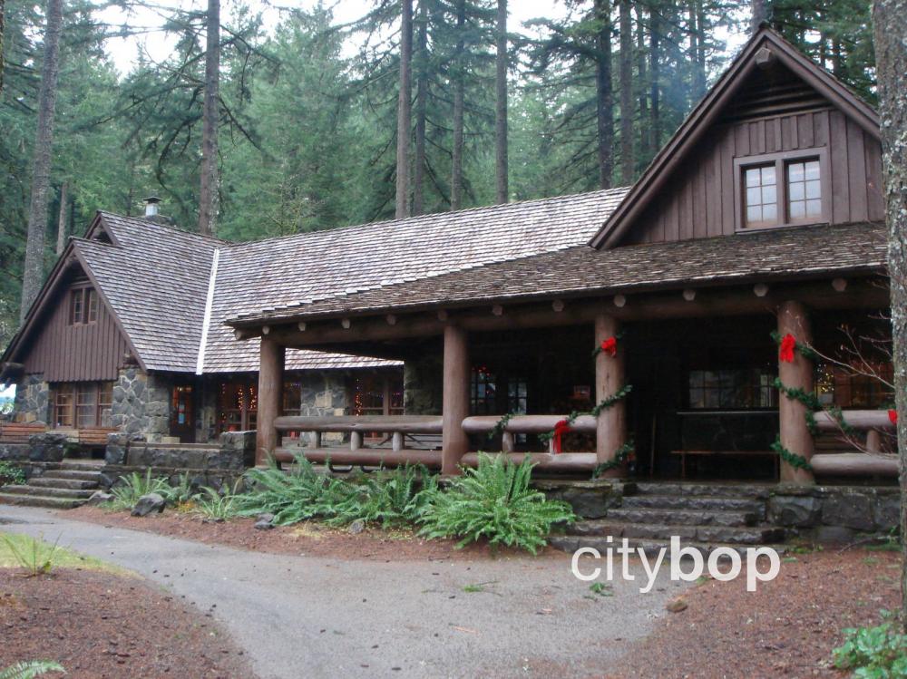 5 Best Things To Do At Silver Falls State Park