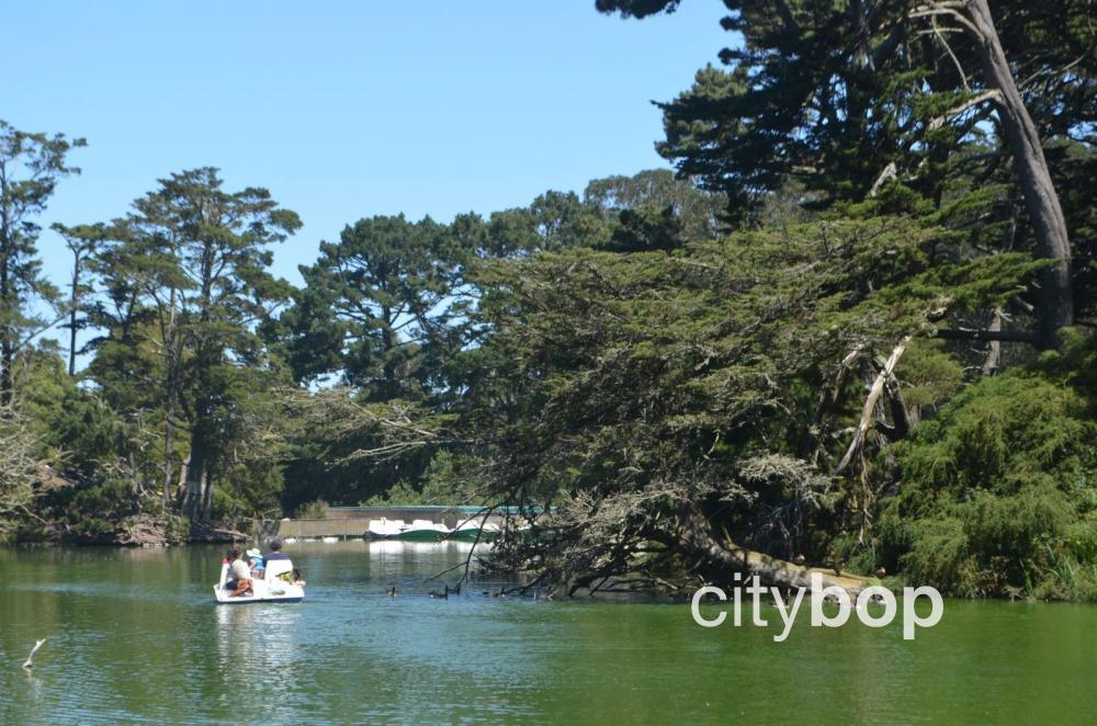 Stow Lake SF