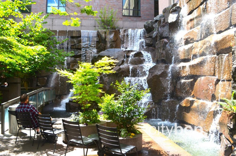 UPS Waterfall Garden Park (Seattle) - BEST Things To Do - CityBOP