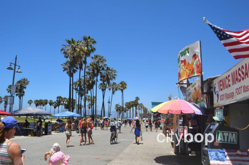 10 BEST Things to Do in Venice Beach - CityBOP