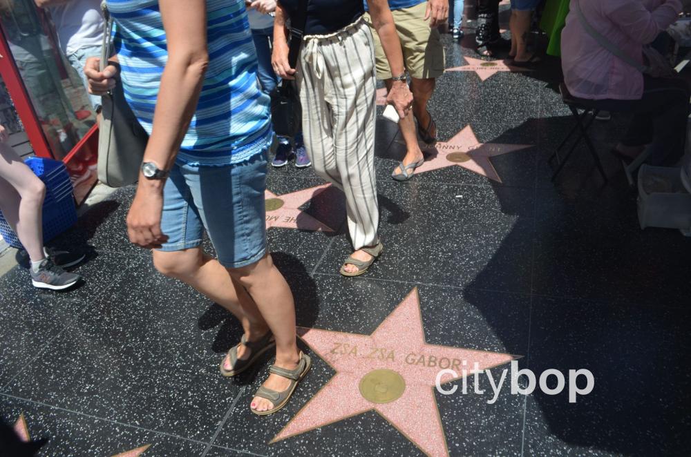 Hollywood Walk of Fame: 10 best attractions