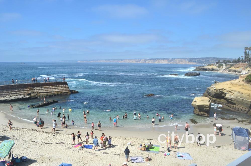 5 BEST Things to Do at Children's Pool Beach CityBOP