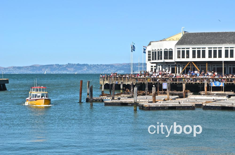 10 BEST Attractions at Fisherman's Wharf CityBOP