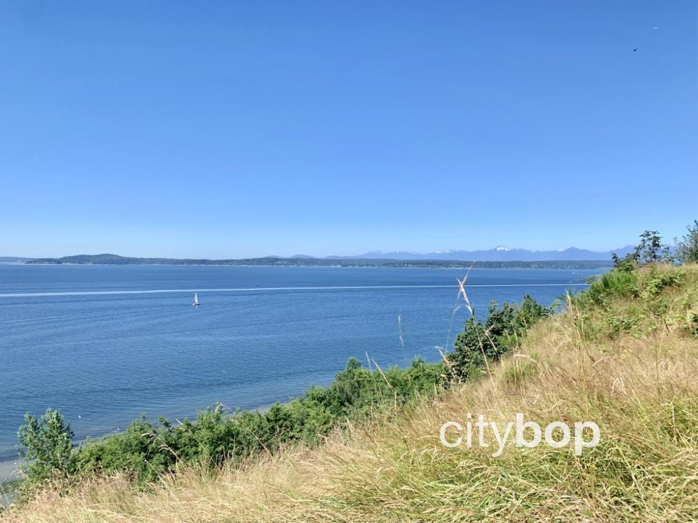 Magnolia Boulevard BEST Viewpoint In Seattle Magnolia Boulevard BEST Viewpoint In Seattle