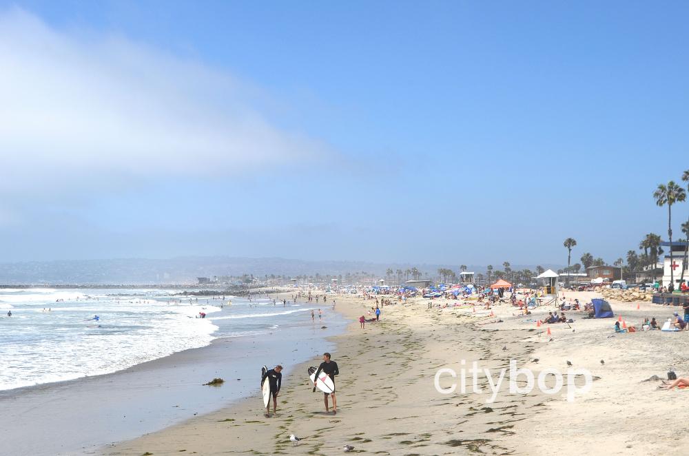 5 BEST Things to Do at Ocean Beach (San Diego) - CityBOP