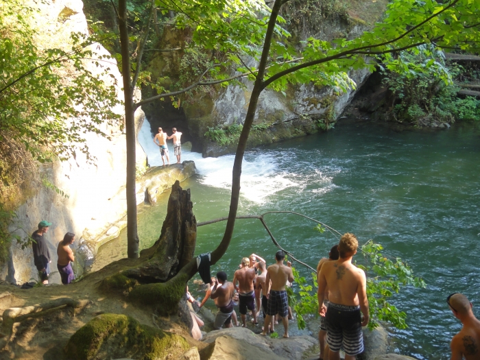 Whatcom Falls