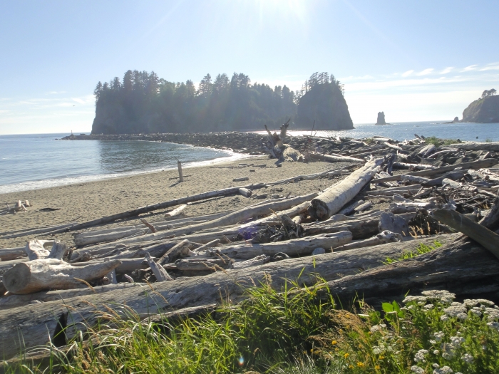 First Beach La Push