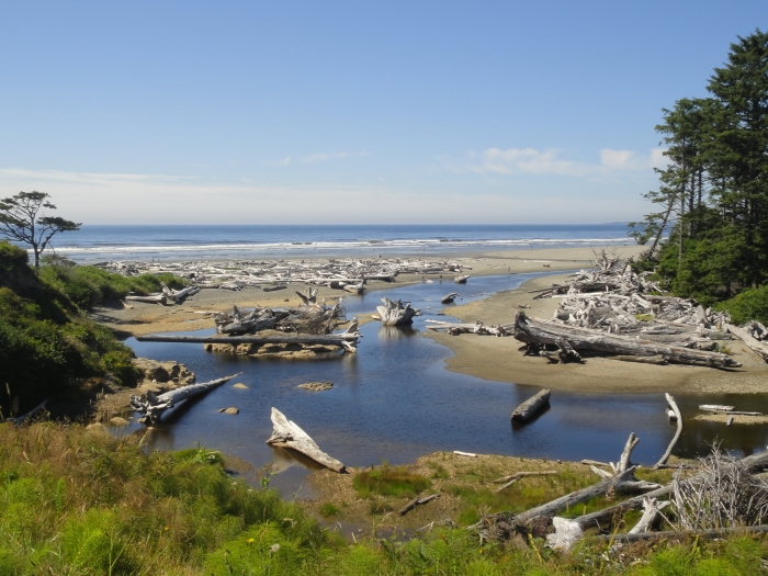 Kalaloch Beach