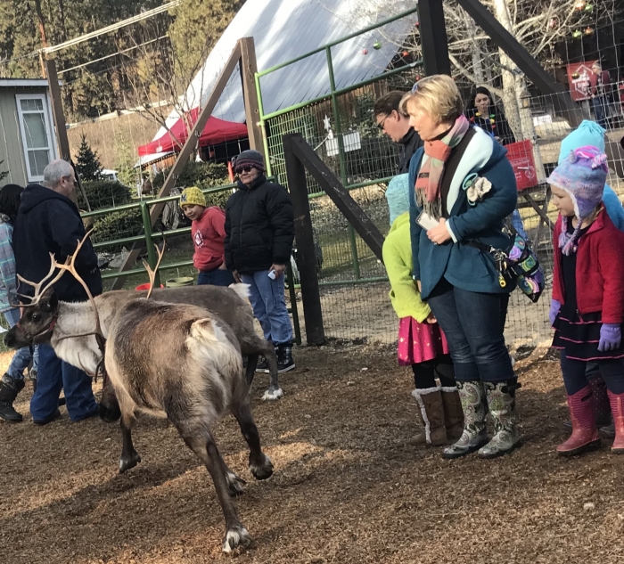 Leavenworth Reindeer Farm