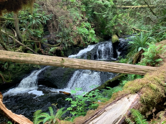 Ludlow Falls