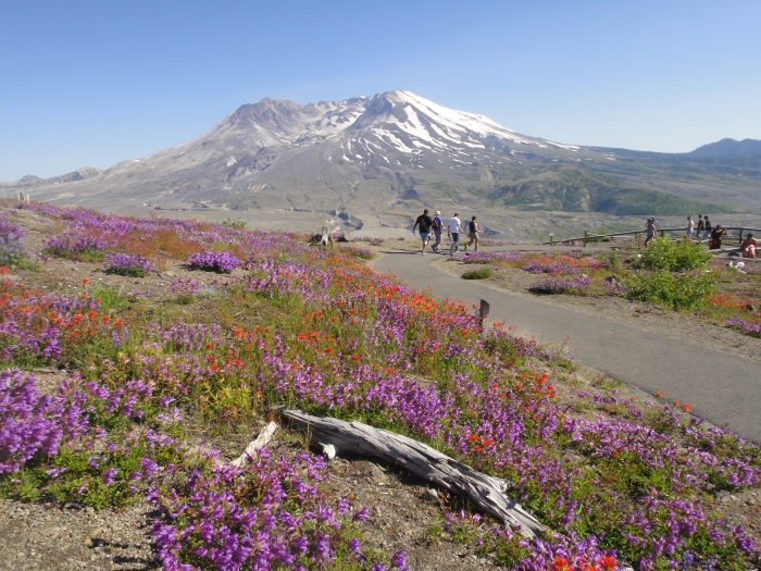 Mt Saint Helens