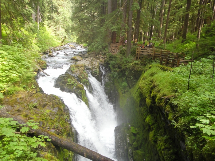 Olympic National Park