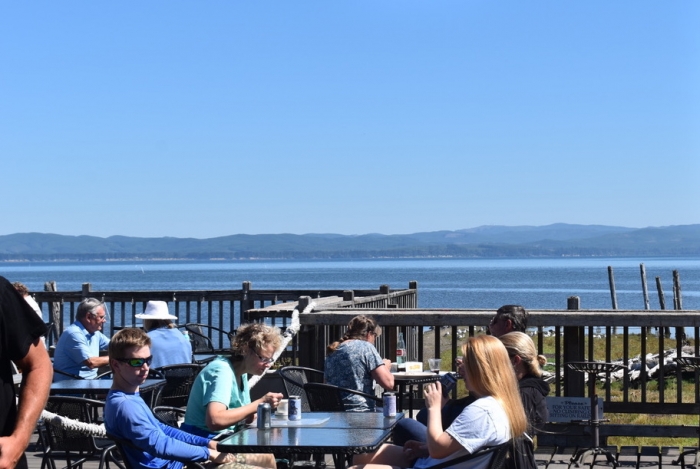 Oysterville Sea Farms