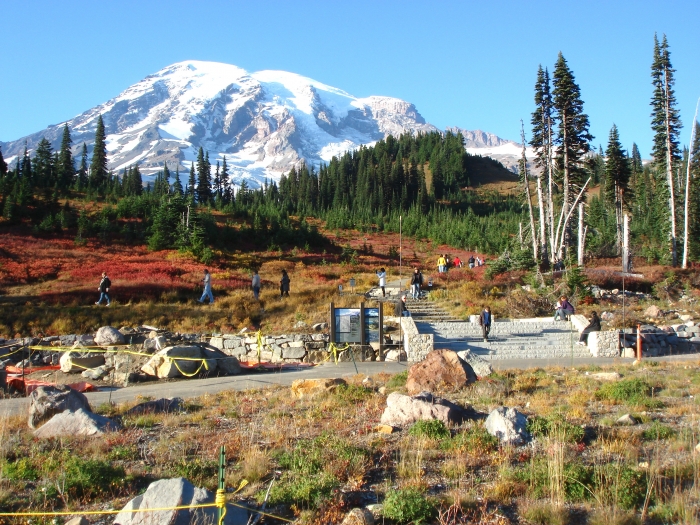 Paradise Mt Rainier