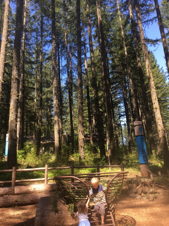 Silver Falls Nature Play Area