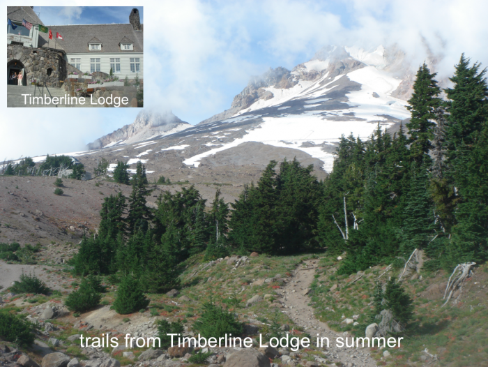 Timberline Lodge