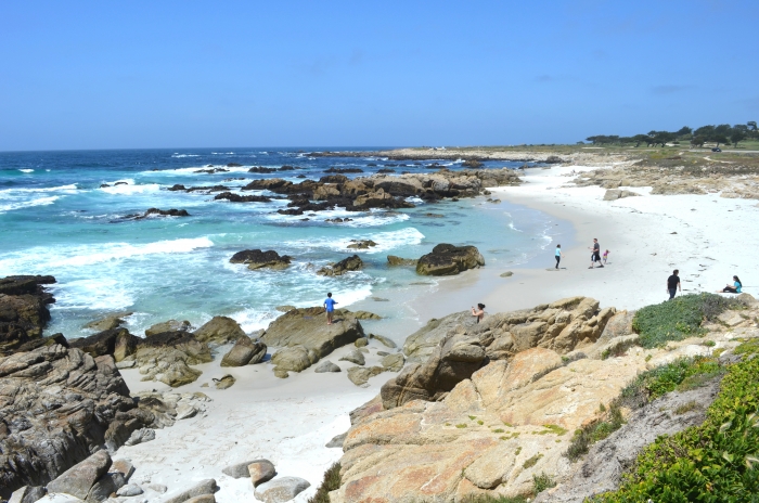 17 Mile Drive