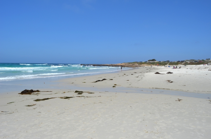 Asilomar State Beach