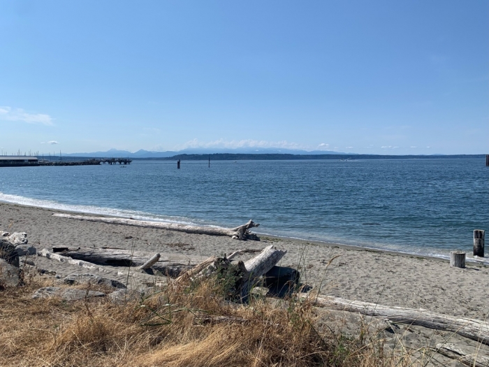 Edmonds Beaches