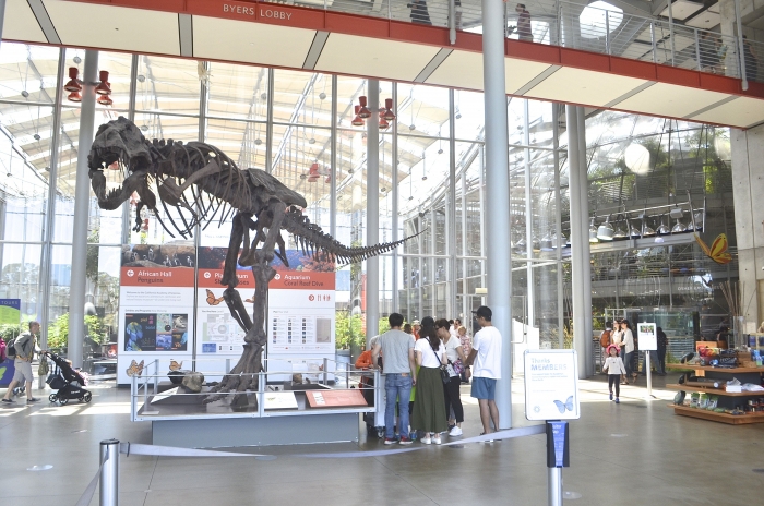 10 BEST Attractions at California Academy of Sciences