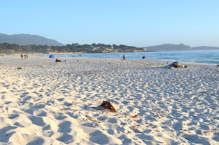 Carmel Beach 