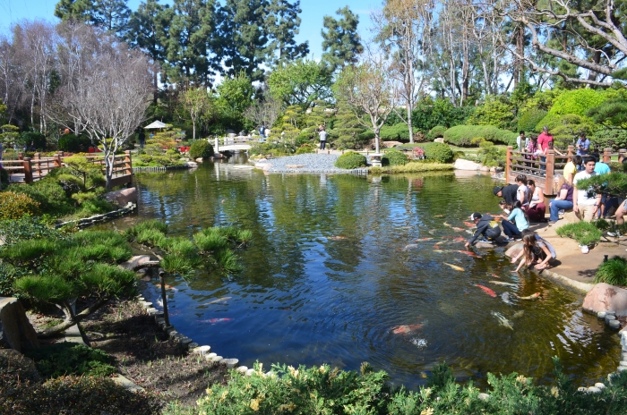 Earl Burns Miller Japanese Garden 