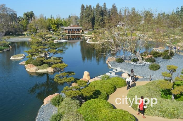 Japanese Garden Los Angeles