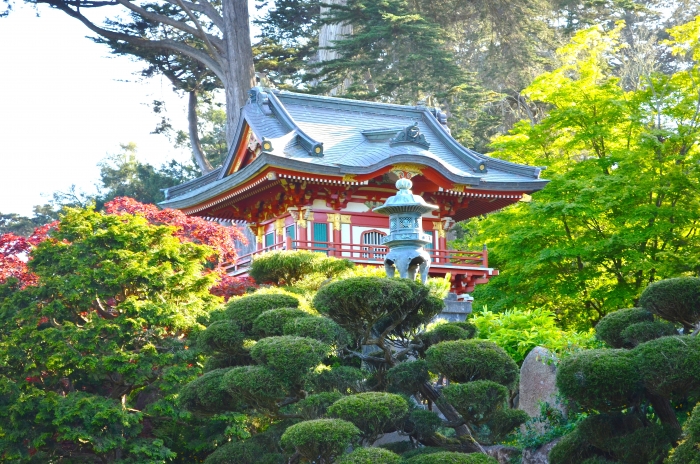 10 BEST Attractions at Japanese Tea Garden San Francisco