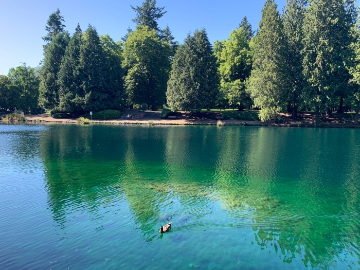 Laurelhurst Park