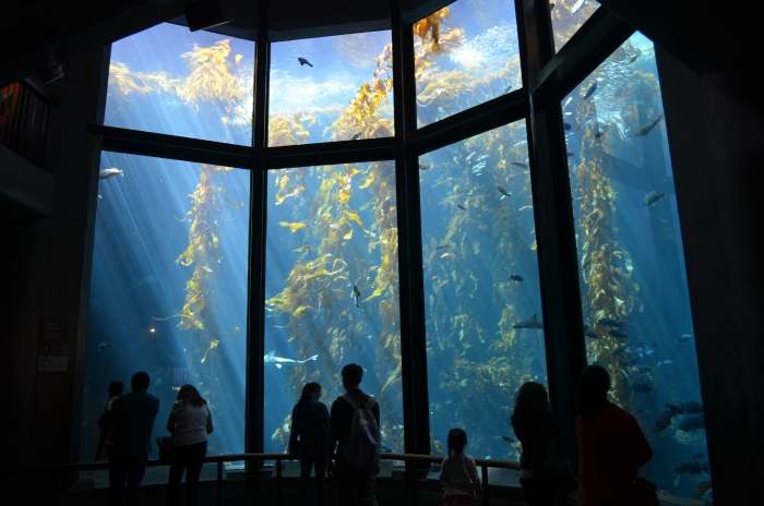 Monterey Bay Aquarium