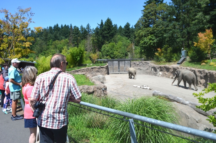 Oregon Zoo