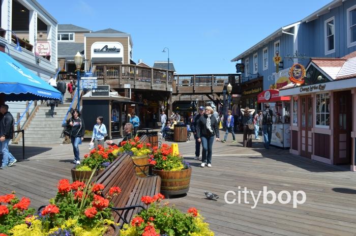 10 BEST Attractions at Pier 39
