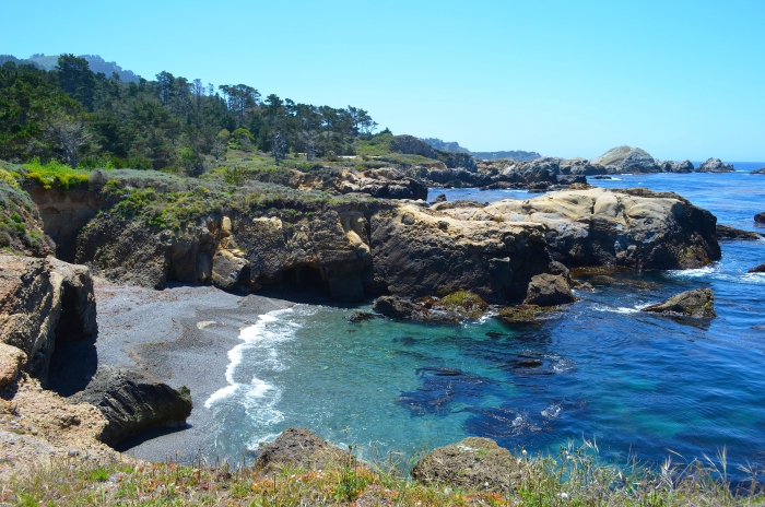 Point Lobos 