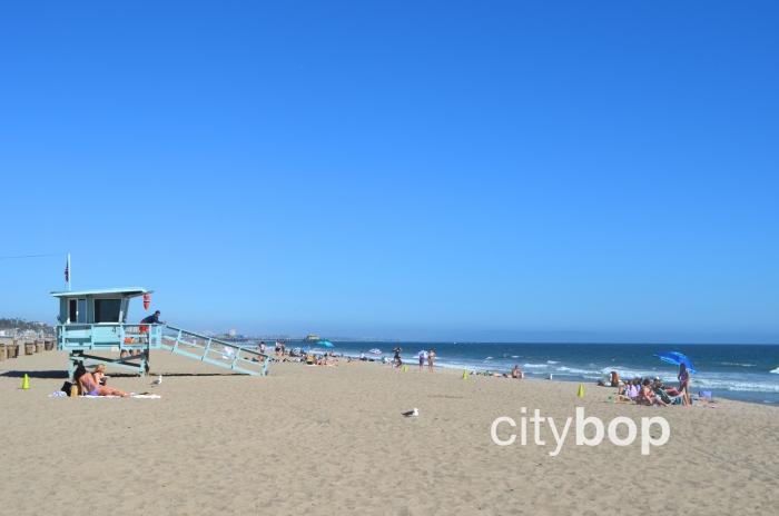 Santa Monica Beach      