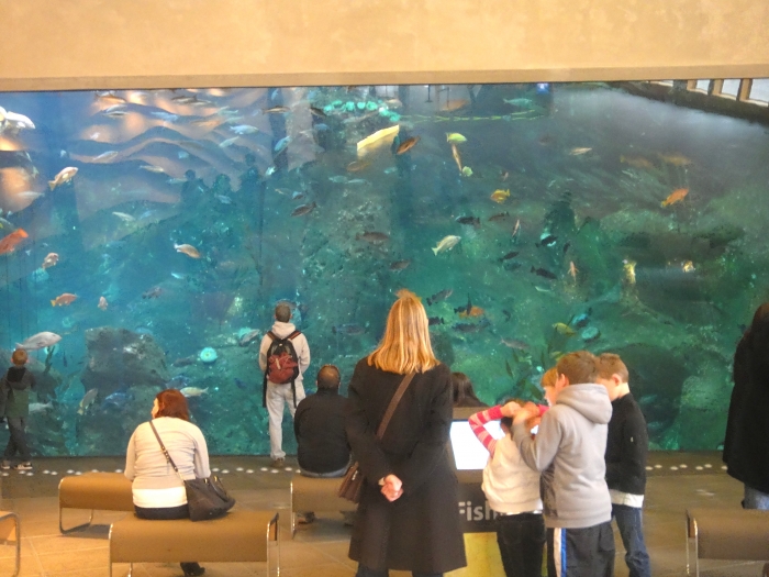 Seattle Aquarium