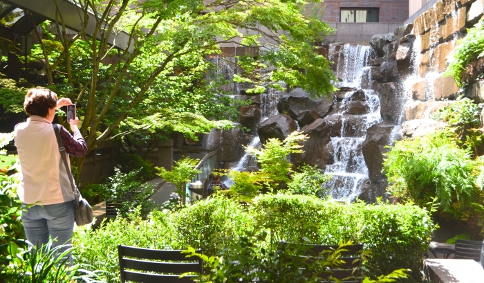 UPS Waterfall Garden Park