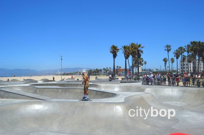 Venice Skate Park