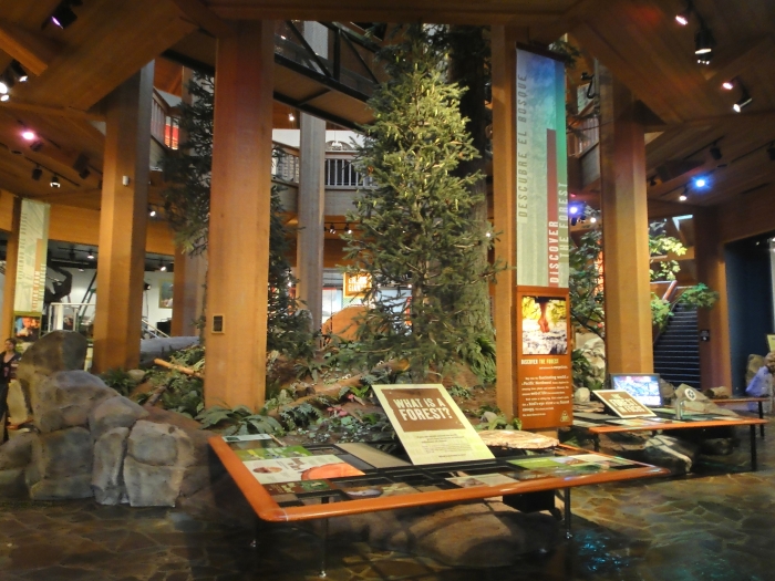 World Forestry Center