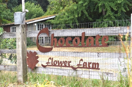 Chocolate Flower Farm