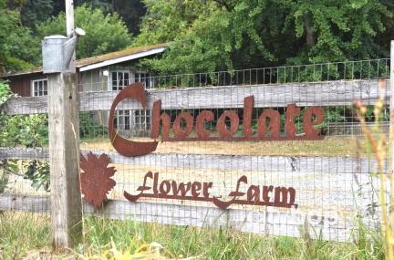Chocolate Flower Farm
