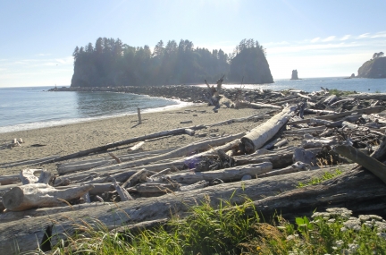 First Beach La Push