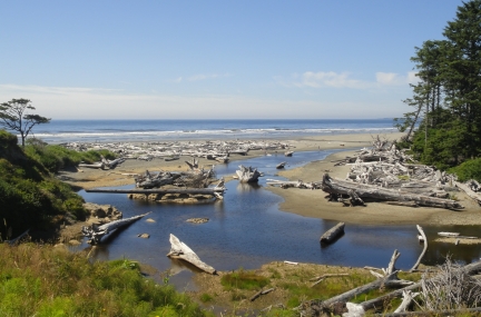 Kalaloch Beach