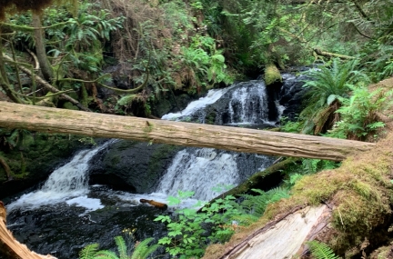 Ludlow Falls