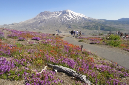 Mt Saint Helens