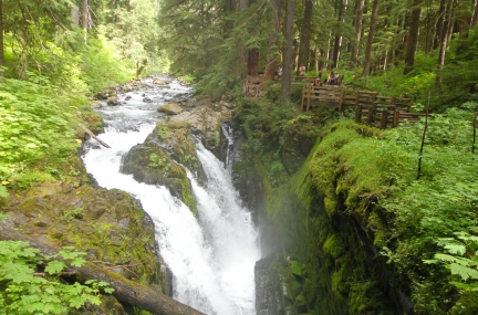 Olympic National Park